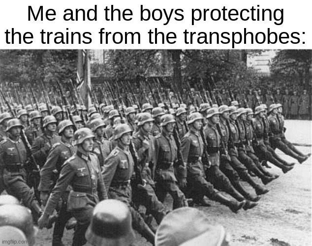 German Soldiers Marching | Me and the boys protecting the trains from the transphobes: | image tagged in german soldiers marching | made w/ Imgflip meme maker