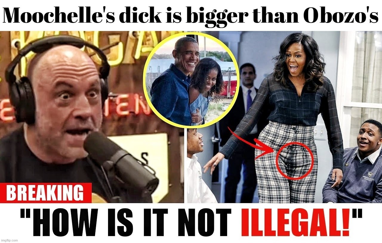 The TRUTH is out! | image tagged in michelle obama,first tranny,tired of hearing about transgenders,dick jokes,penis jokes,boys have a penis girls have a vagina | made w/ Imgflip meme maker