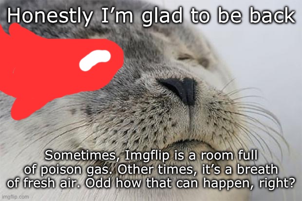 This time, Imgflip is a good lung full of O2 | Honestly I’m glad to be back; Sometimes, Imgflip is a room full of poison gas. Other times, it’s a breath of fresh air. Odd how that can happen, right? | image tagged in memes,satisfied seal | made w/ Imgflip meme maker