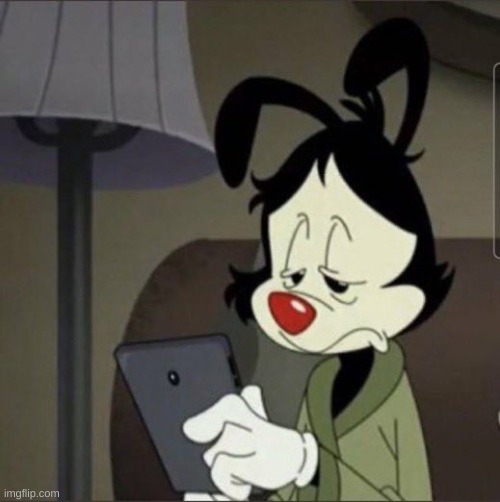 Yakko looking at phone | image tagged in yakko looking at phone | made w/ Imgflip meme maker