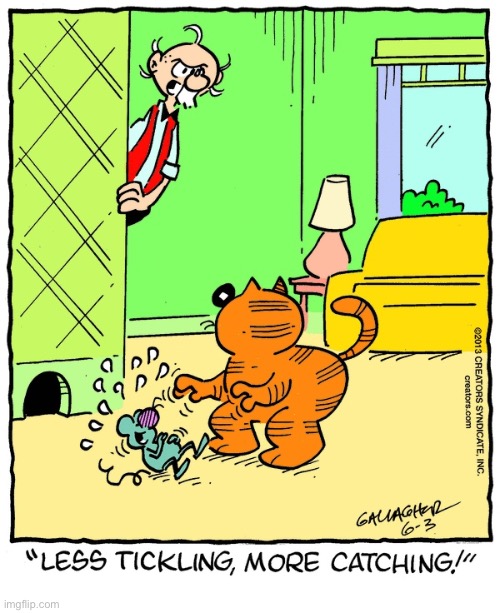 Heathcliff | image tagged in comics | made w/ Imgflip meme maker