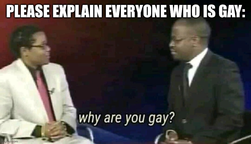 Why are you gay? | PLEASE EXPLAIN EVERYONE WHO IS GAY: | image tagged in why are you gay | made w/ Imgflip meme maker