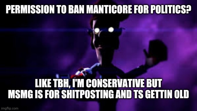 Welcome to the Shadow Realm | PERMISSION TO BAN MANTICORE FOR POLITICS? LIKE TBH, I'M CONSERVATIVE BUT MSMG IS FOR SHITPOSTING AND TS GETTIN OLD | image tagged in welcome to the shadow realm | made w/ Imgflip meme maker