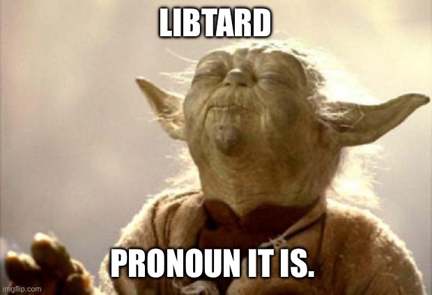 yoda smell | LIBTARD; PRONOUN IT IS. | image tagged in yoda smell | made w/ Imgflip meme maker