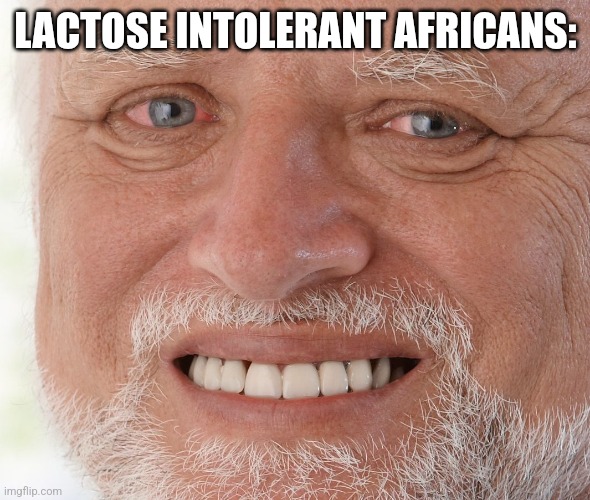 Hide the Pain Harold | LACTOSE INTOLERANT AFRICANS: | image tagged in hide the pain harold | made w/ Imgflip meme maker