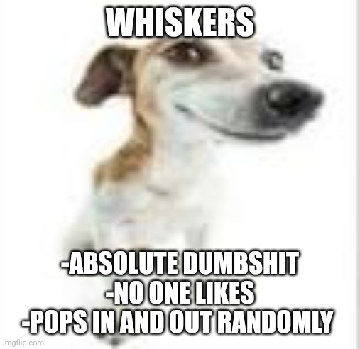 Goofy Dog | WHISKERS -ABSOLUTE DUMBSHIT
-NO ONE LIKES
-POPS IN AND OUT RANDOMLY | image tagged in goofy dog | made w/ Imgflip meme maker