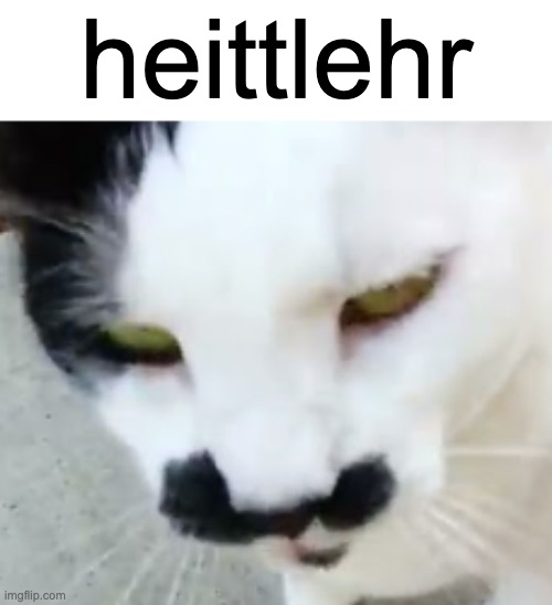 heittlehr | made w/ Imgflip meme maker