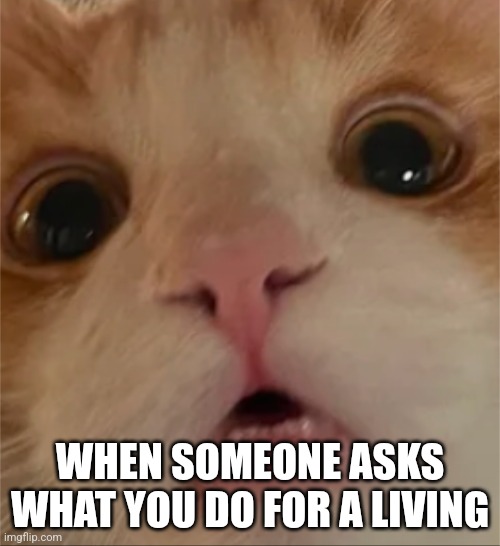 WHEN SOMEONE ASKS WHAT YOU DO FOR A LIVING | image tagged in shocked face | made w/ Imgflip meme maker