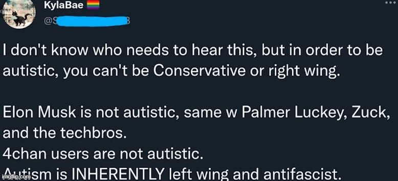 gatekeeping a developmental disorder | image tagged in twitter | made w/ Imgflip meme maker