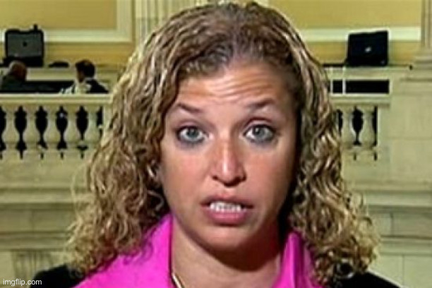 Debbie Wasserman Schultz | image tagged in debbie wasserman schultz | made w/ Imgflip meme maker