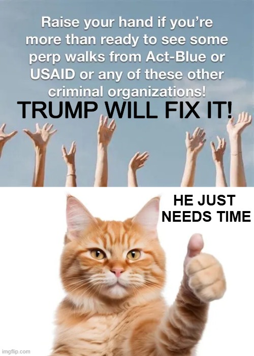 Beyond our wildest imaginations | TRUMP WILL FIX IT! HE JUST 
NEEDS TIME | image tagged in democrats,government corruption,evil government,punishment,due | made w/ Imgflip meme maker