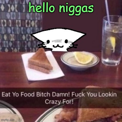 eat yo food bitch damn! | hello niggas | image tagged in eat yo food bitch damn | made w/ Imgflip meme maker