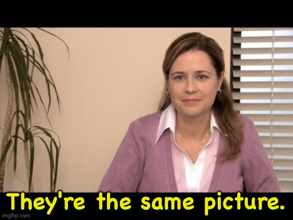 They're the same picture | They're the same picture. | image tagged in they're the same picture | made w/ Imgflip meme maker