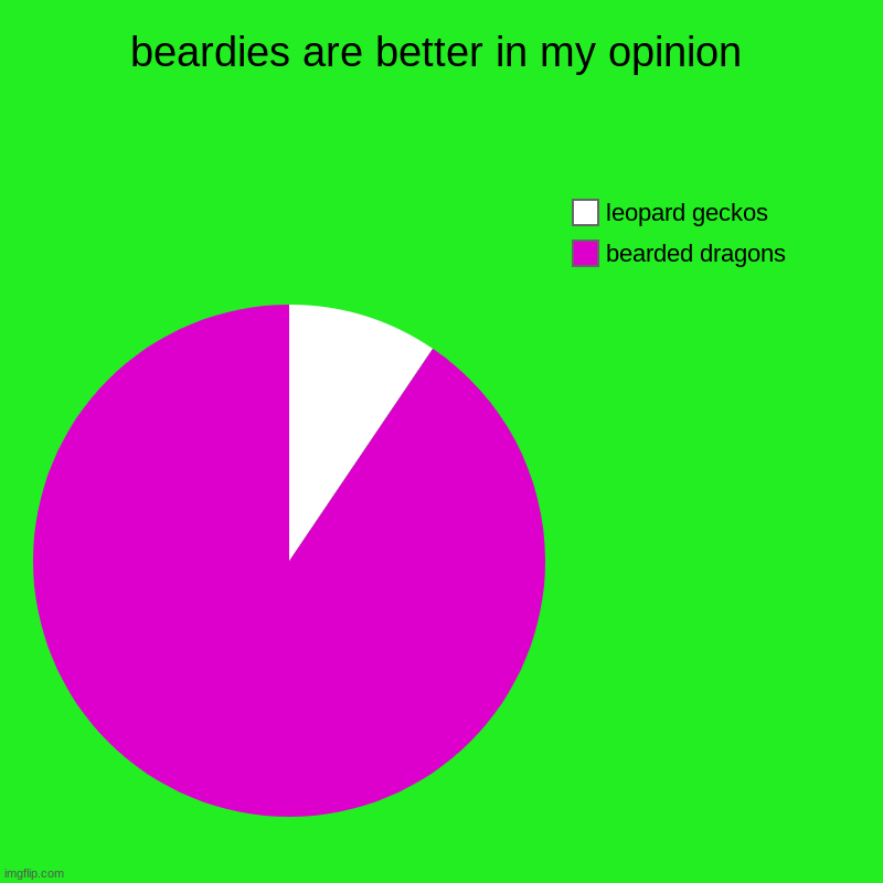 BEARDED DRAGONS ARE MY FAVORITE | beardies are better in my opinion | bearded dragons, leopard geckos | image tagged in charts,pie charts | made w/ Imgflip chart maker