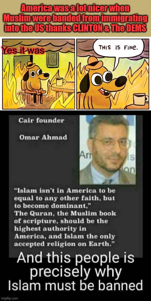 Educate yourself MSM will not tell you the truth.Islam does not fit in with the concept of Freedom.. | America was a lot nicer when Muslim were banded from immigrating into the US thanks CLINTON & The DEMS; Yes it was | image tagged in memes,this is fine | made w/ Imgflip meme maker