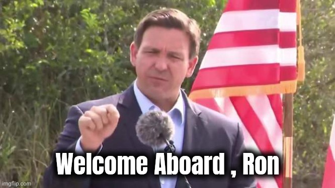 DeSantis makes entering Florida by Illegals a crime | Welcome Aboard , Ron | image tagged in florida governor ron desantis,joins the battle,immigrants,not wanted,thank you mr helpful | made w/ Imgflip meme maker