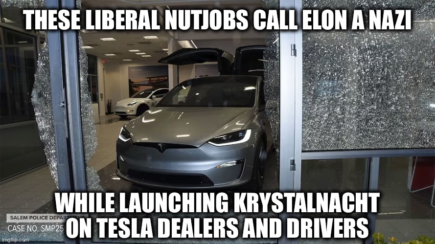 THESE LIBERAL NUTJOBS CALL ELON A NAZI; WHILE LAUNCHING KRYSTALNACHT ON TESLA DEALERS AND DRIVERS | image tagged in liberal logic,stupid liberals,liberal hypocrisy,nazi,elon musk,tesla | made w/ Imgflip meme maker