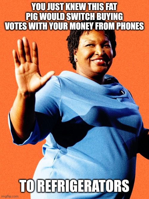 Smart Democrat Grift | YOU JUST KNEW THIS FAT PIG WOULD SWITCH BUYING VOTES WITH YOUR MONEY FROM PHONES; TO REFRIGERATORS | image tagged in stacey abrams sore loser | made w/ Imgflip meme maker