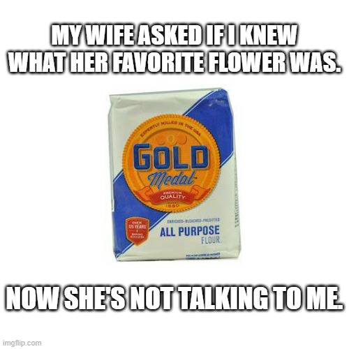 My wife asked me if I knew what her favorite flower was. Now she's mad at me. | MY WIFE ASKED IF I KNEW WHAT HER FAVORITE FLOWER WAS. NOW SHE'S NOT TALKING TO ME. | image tagged in funny,fun,flowers,wife,marriage,humor | made w/ Imgflip meme maker