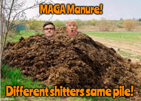 MAGA Manure | MAGA Manure! Different shitters same pile! | image tagged in trump pile,maga manure,you break it you bought it,fos,sos same old shit,political poop | made w/ Imgflip meme maker