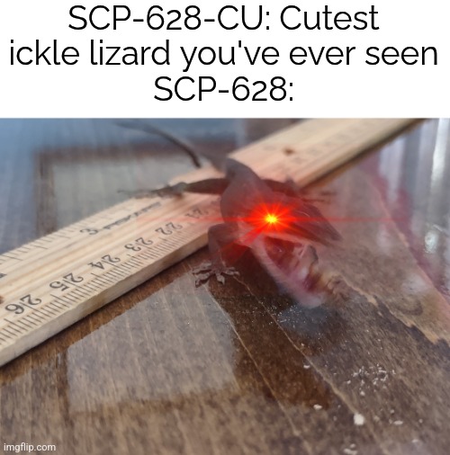 Cutest Ickle Lizard appreciation post | SCP-628-CU: Cutest ickle lizard you've ever seen
SCP-628: | image tagged in angry lizard,scp,lizard | made w/ Imgflip meme maker