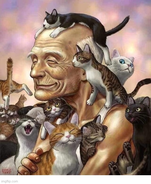 Man’s best friends | image tagged in cats | made w/ Imgflip meme maker
