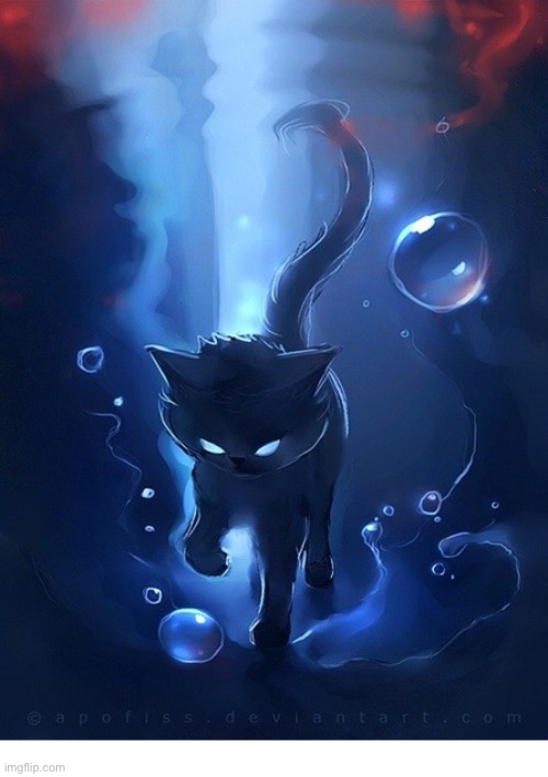 Liquid Darkness on Four Feet | image tagged in cats | made w/ Imgflip meme maker