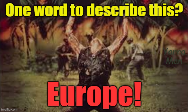 A poster to describe EUROPE. | One word to describe this? Yarra Man; Europe! | image tagged in platoon,uik,stalin starmer,germany,france,sweden | made w/ Imgflip meme maker