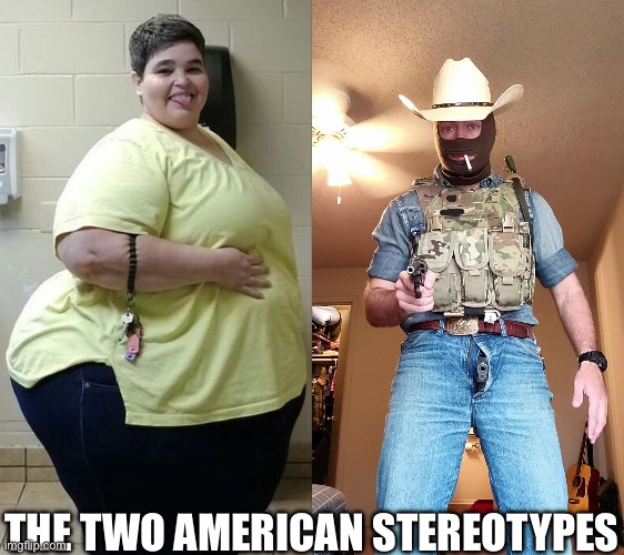 The American stereotypes I see on social media | THE TWO AMERICAN STEREOTYPES | image tagged in american,fat,guns | made w/ Imgflip meme maker