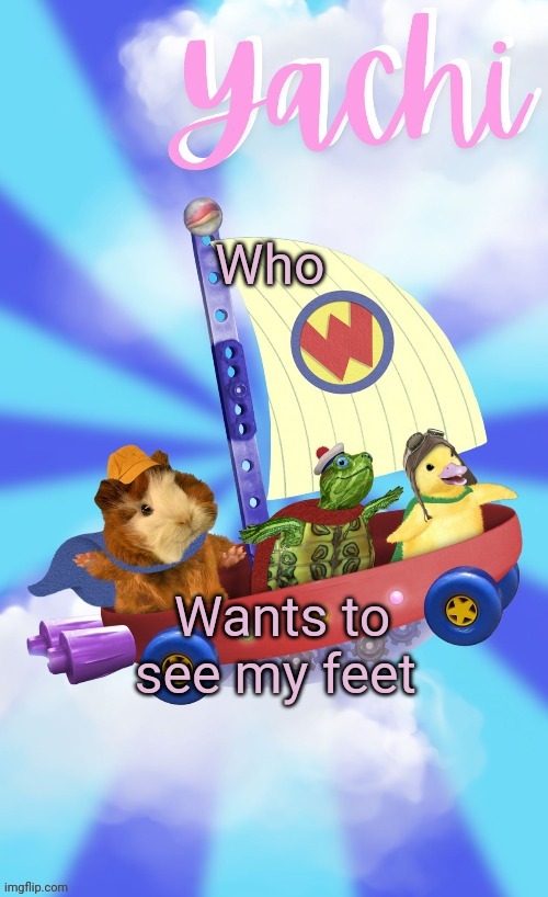 Yachis wonder pet temp (thank you Disco) | Who; Wants to see my feet | image tagged in yachis wonder pet temp thank you disco | made w/ Imgflip meme maker