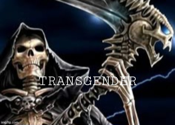 trans flag | image tagged in trans flag | made w/ Imgflip meme maker