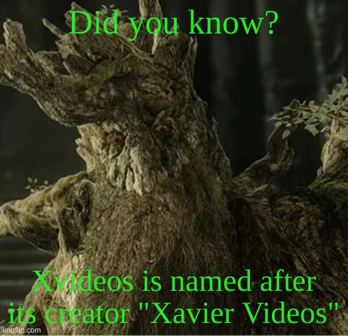 Hecate | Did you know? Xvideos is named after its creator "Xavier Videos" | image tagged in hecate | made w/ Imgflip meme maker