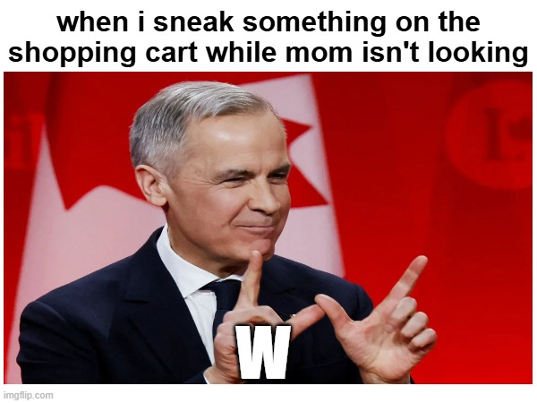carney meme | when i sneak something on the shopping cart while mom isn't looking; W | image tagged in lol | made w/ Imgflip meme maker