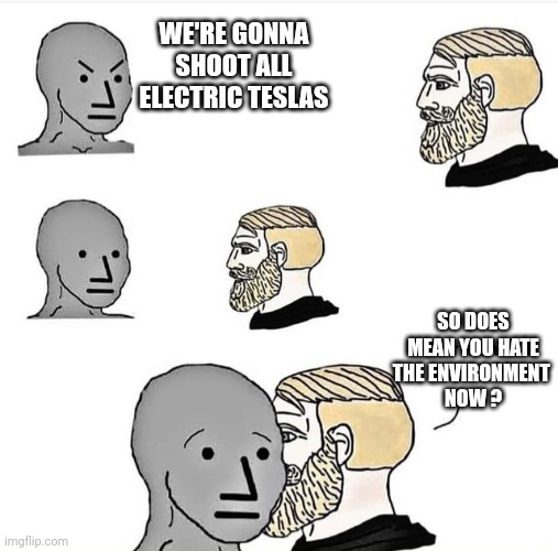 Green New Deal | WE'RE GONNA SHOOT ALL ELECTRIC TESLAS; SO DOES MEAN YOU HATE THE ENVIRONMENT 
NOW ? | image tagged in your terms are acceptable,leftists,liberals | made w/ Imgflip meme maker