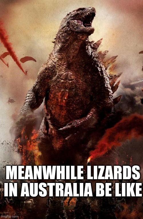 Godzilla | MEANWHILE LIZARDS IN AUSTRALIA BE LIKE | image tagged in godzilla | made w/ Imgflip meme maker