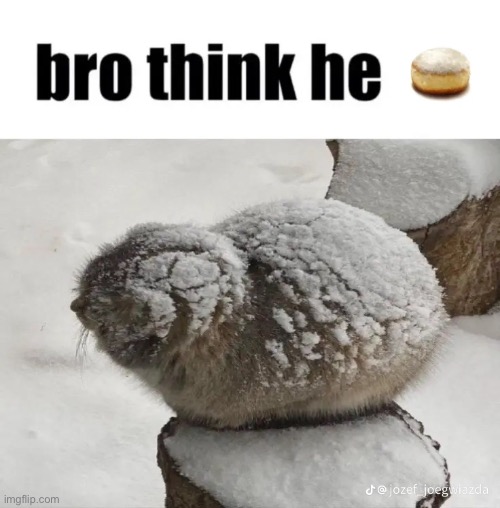 bro think he | image tagged in bro think he | made w/ Imgflip meme maker