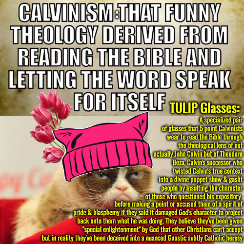 TULIP Glasses Definition | :; TULIP Glasses:; A specialized pair of glasses that 5 point Calvinists wear to read the Bible through the theological lens of not actually John Calvin but of Theodore Beza, Calvin's successor who twisted Calvin's true context into a divine puppet show & gaslit people by insulting the character of those who questioned his expository; before making a point or accused them of a spirit of pride & blasphemy if they said it damaged God's character to project back onto them what he was doing. They believe they've been given "special enlightenment" by God that other Christians can't accept but in reality they've been deceived into a nuanced Gnostic subtly Catholic heresy | image tagged in calvinism,calvinist memes,arminian,molinism,reformed theology 5 point leaders,brainwashed ai gnostic catholic | made w/ Imgflip meme maker