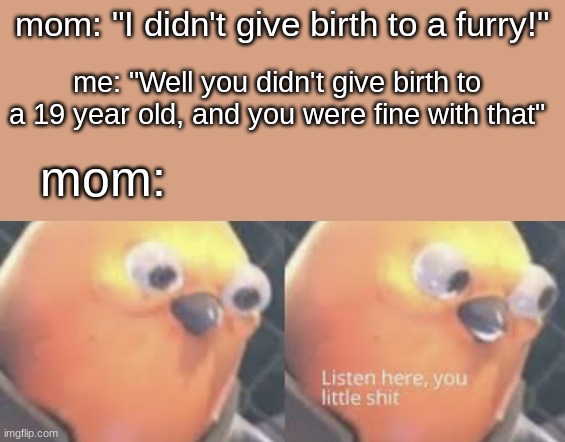 (side note, this is a joke, parents has accepted it) | mom: "I didn't give birth to a furry!"; me: "Well you didn't give birth to a 19 year old, and you were fine with that"; mom: | image tagged in listen here you little shit bird,furry struggles,furry,meme,fun | made w/ Imgflip meme maker