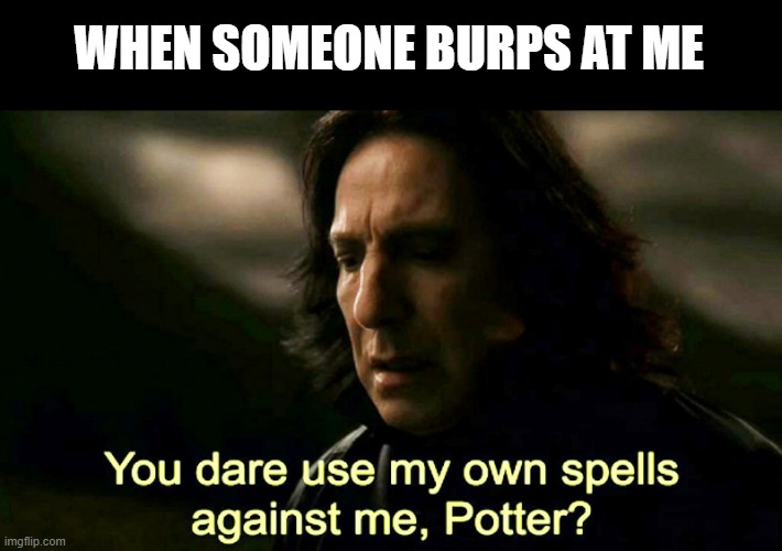 ROFL | WHEN SOMEONE BURPS AT ME | image tagged in how dare you use my own spells against me potter,burp | made w/ Imgflip meme maker