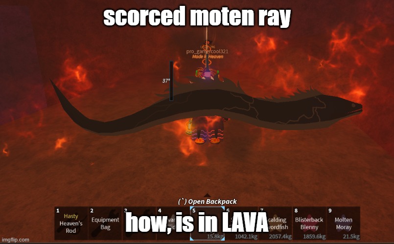 is in lava how is it scorched | scorced moten ray; how, is in LAVA | image tagged in fish | made w/ Imgflip meme maker