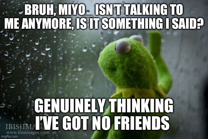 kermit window | BRUH, MIYO_ ISN’T TALKING TO ME ANYMORE, IS IT SOMETHING I SAID? GENUINELY THINKING I’VE GOT NO FRIENDS | image tagged in kermit window | made w/ Imgflip meme maker