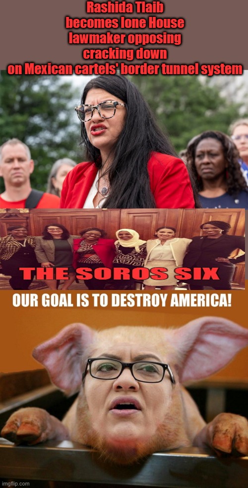 Prove me wrong. | Rashida Tlaib becomes lone House lawmaker opposing cracking down on Mexican cartels' border tunnel system | made w/ Imgflip meme maker