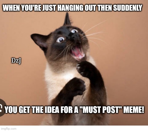 Must Post | WHEN YOU'RE JUST HANGING OUT THEN SUDDENLY; DzJ; YOU GET THE IDEA FOR A "MUST POST" MEME! | image tagged in surprised,kitty,cat,relatable memes,meme ideas | made w/ Imgflip meme maker