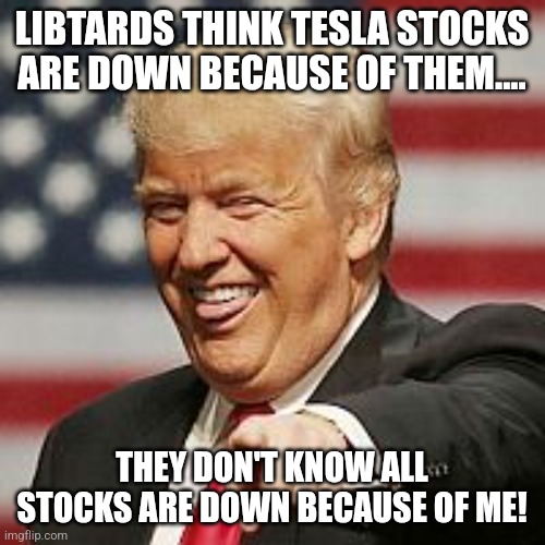 Just because of me! | LIBTARDS THINK TESLA STOCKS ARE DOWN BECAUSE OF THEM.... THEY DON'T KNOW ALL STOCKS ARE DOWN BECAUSE OF ME! | image tagged in donald trump,trump,maga,trump sucks,conservative,stock market | made w/ Imgflip meme maker