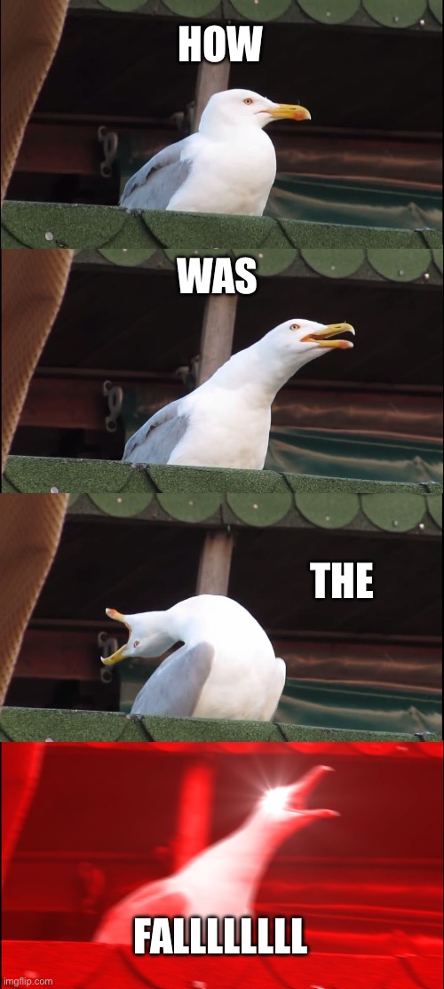 No title needed | HOW; WAS; THE; FALLLLLLLL | image tagged in memes,inhaling seagull | made w/ Imgflip meme maker