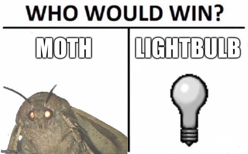 The Ultimate Showdown | MOTH; LIGHTBULB | image tagged in memes,who would win | made w/ Imgflip meme maker