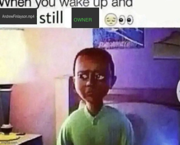 “Owner reset :fire:" *doesn’t reset owners* | image tagged in when you wake up and still alive | made w/ Imgflip meme maker