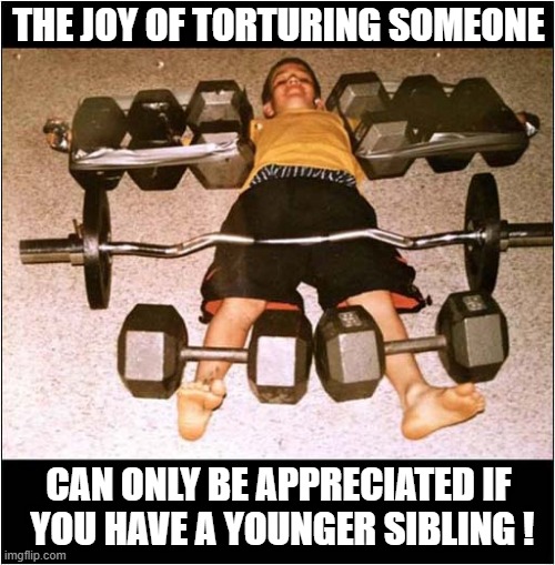 We All Need A Past Time ! | THE JOY OF TORTURING SOMEONE; CAN ONLY BE APPRECIATED IF
 YOU HAVE A YOUNGER SIBLING ! | image tagged in torture,little brother,dark humour | made w/ Imgflip meme maker