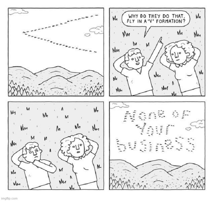 Birds | image tagged in comics/cartoons | made w/ Imgflip meme maker