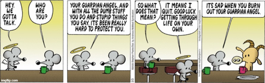 Pearls Before Swine | image tagged in comics | made w/ Imgflip meme maker